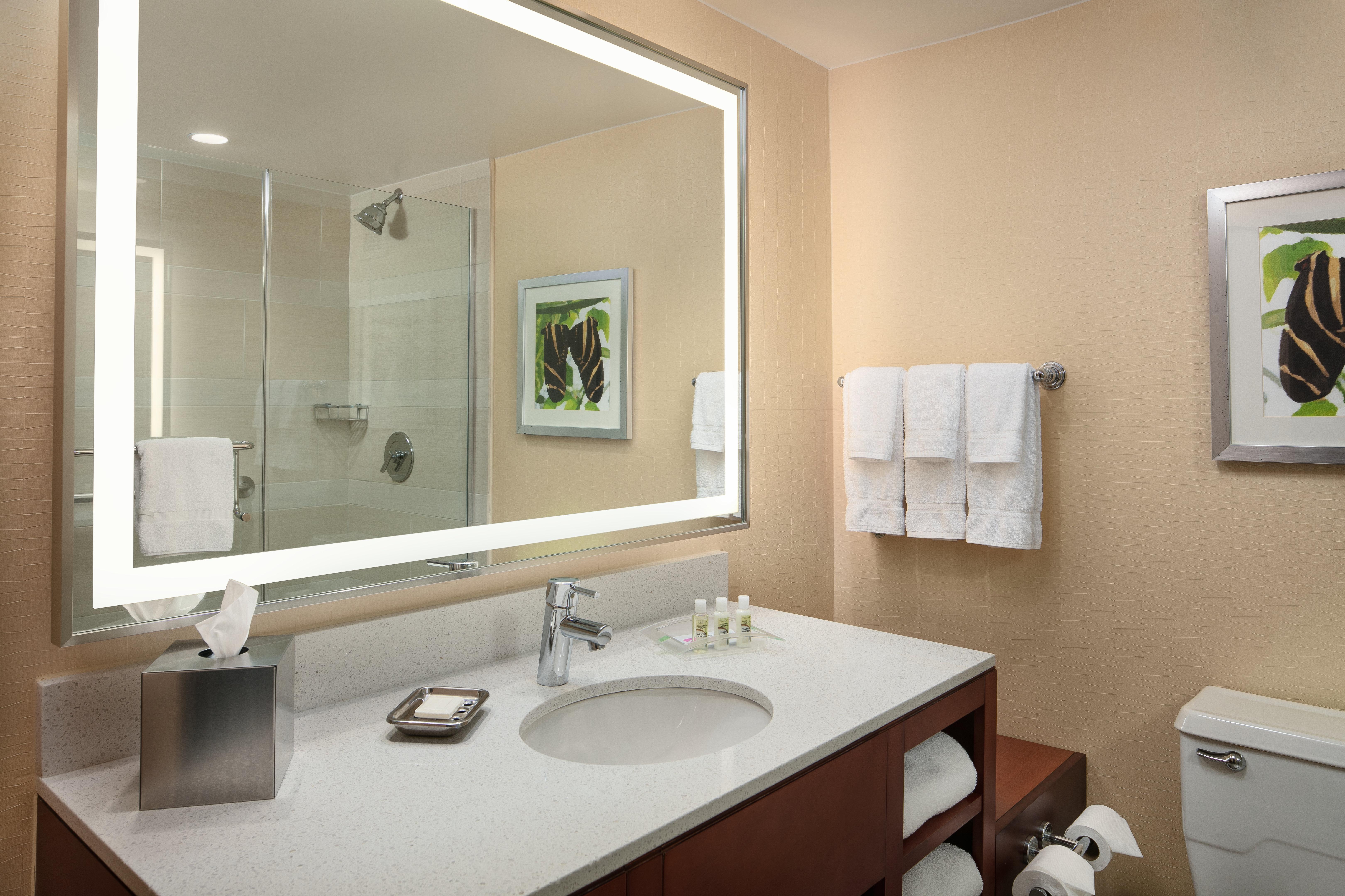 Holiday Inn Austin -Town Lake By Ihg Exterior photo